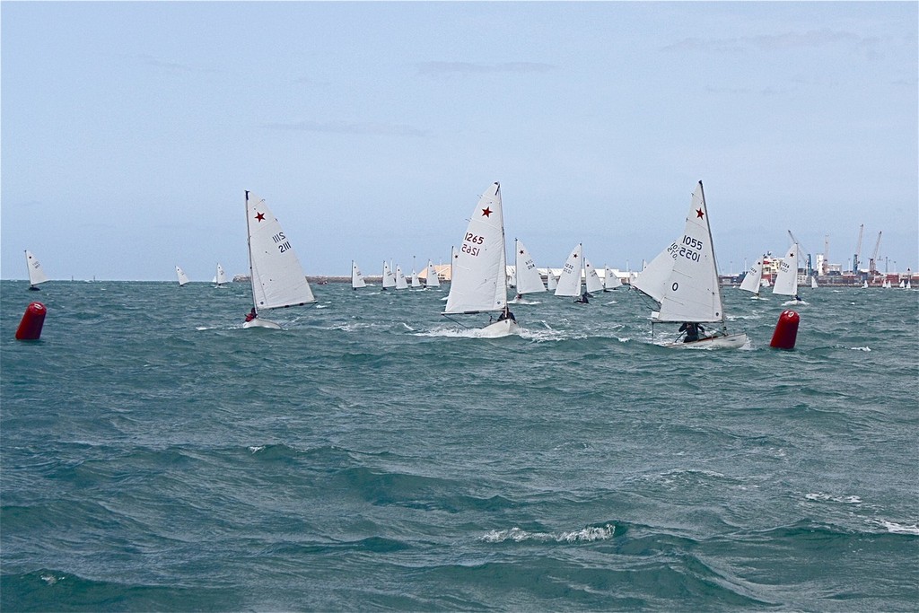 Starlings rounding the gates - 2011 P and Starling National Championships © Various Photographers
